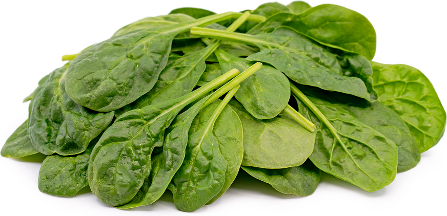 babyspinach