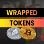 Wrapped Token