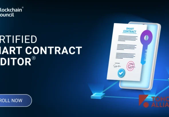 Audit Smart Contract
