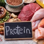 Makanan Tinggi Protein