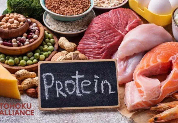 Makanan Tinggi Protein
