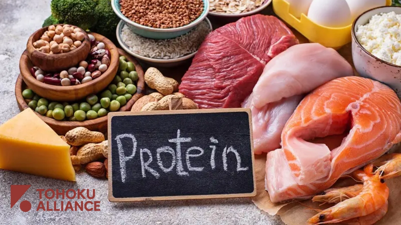 Makanan Tinggi Protein